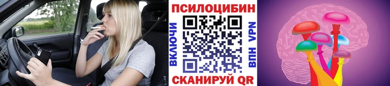 Псилоцибиновые грибы MAGIC MUSHROOMS  наркота  Катайск 