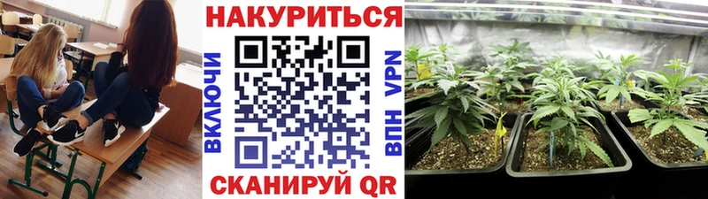 блэк спрут зеркало  даркнет сайт  Катайск  МАРИХУАНА Amnesia 